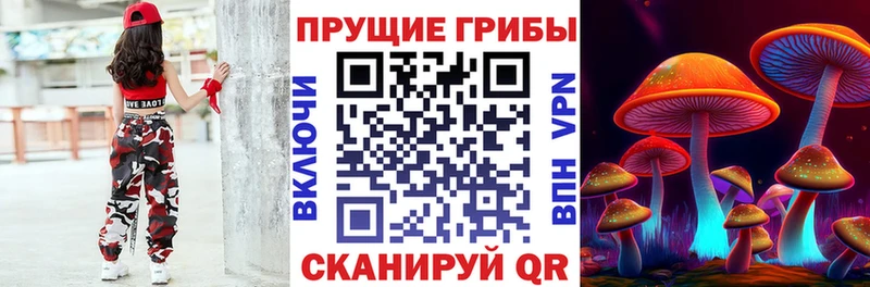 Галлюциногенные грибы Psilocybe Алупка